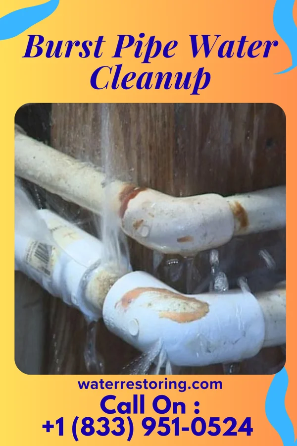 Burst Pipe Water Cleanup in Freeport, IL