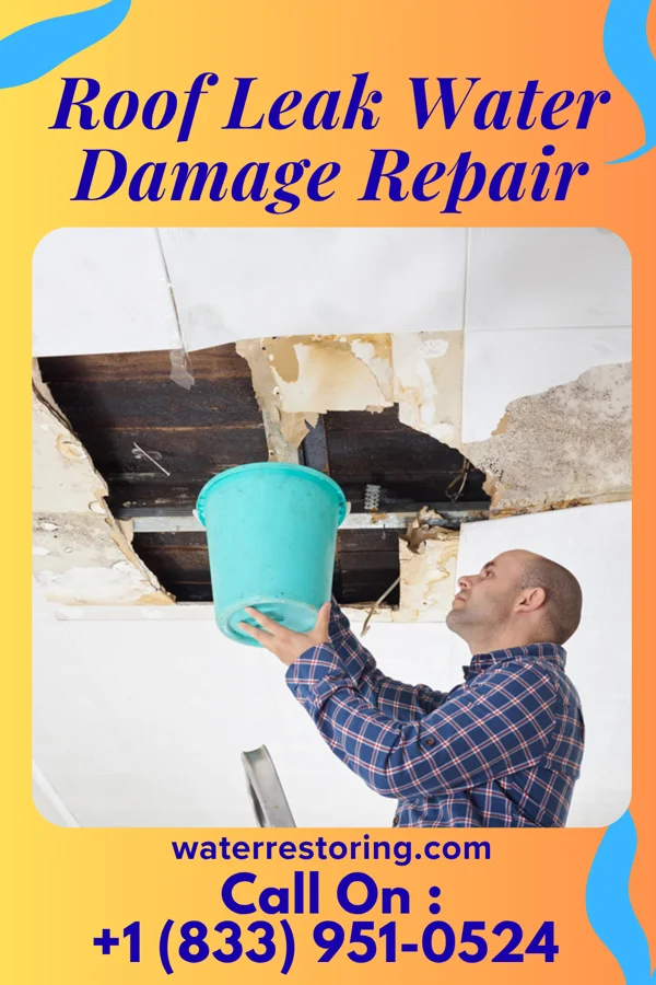 Roof Leak Water Damage Repair in Freeport, IL